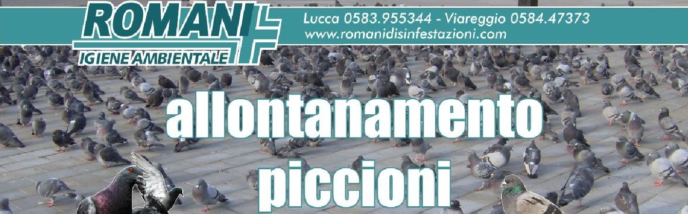 https://www.romanidisinfestazioni.com/